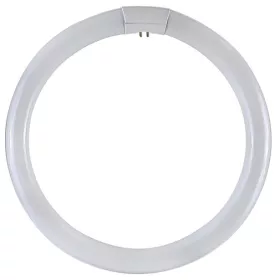 Fosme 32W T9 Körfénycső 6500K G10Q