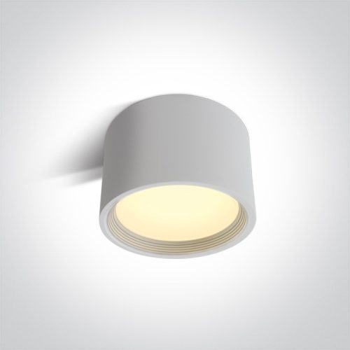 12125L / W / W fehér LED 25W WW IP40 230V