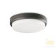 Viokef Outdoor Ceiling lamp Dark Grey D200 Leros Plus 4171701