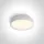 62118D / W / W fehér PLAFO LED 20W WW IP20 230V