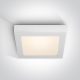 62130AF / W / W fehér PLAFO LED 30W WW IP40 100-240V