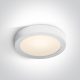 62130F / W / W fehér PLAFO LED 30W WW IP40 100-240V