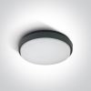 67363 / ANTHRACITE PLAFO LED 30W WW IP54 100-240V