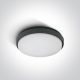 67363 / ANTHRACITE PLAFO LED 30W WW IP54 100-240V