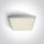 67372 / W / C fehér LED PLAFO 25W CW IP54 100-240V