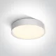 67390 / W / C fehér LED PLAFO 21W CW IP65 230V