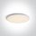 67404a / w / w fehér plafo LED 25W WW IP40 100-240V