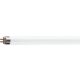 PHILIPS MASTER TL5 HE 14W 3000K MELEG FEHÉR FÉNYCSŐ, TL5 HE 14W/830