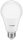 Avide Led Globe A60 10W E27 240° Cw 6400K