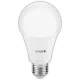 Avide Led Globe A60 10W E27 240° Cw 6400K