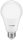 Avide Led Globe A60 8W E27 240° Ew 2700K
