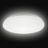 Asalite LED Mennyezeti Lámpa 18W 4000K, 1350lm, Opál Búrával, Bella