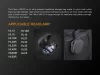 Fenix APB-20 Fejlámpa Tároló Táska