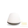 BLOOM SMALL TABLE LAMP D200 SATIN SILVER E27