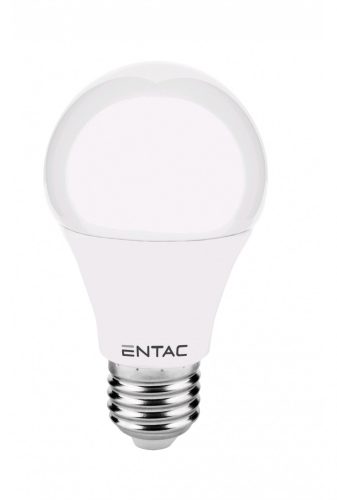 Entac LED Globe E27 10W CW 6400K