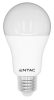 Entac LED Globe E27 12W CW 6400K