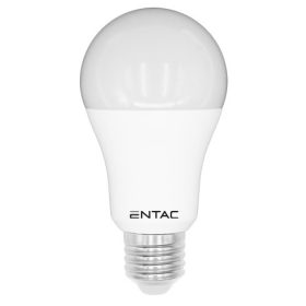 Entac LED Globe E27 12W CW 6400K
