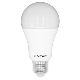 Entac LED Globe E27 12W WW 3000K
