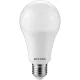 Entac LED Globe E27 18W WW 3000K
