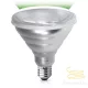 LED PARTY COLOR  PAR38 PRISMATIC E27 12W GreenK OM44-04943