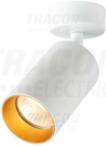 Mennyezeti állítható spot lámpatest, fehér, arany reflektor