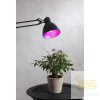 LED PLANT LAMP  CLASSIC A60 FILAMENT E27 6,5W RedK ST357-37