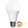 LED RICH COLOUR Dimmerable Classic Opal E27 13,8W 2700K ST358-82-4
