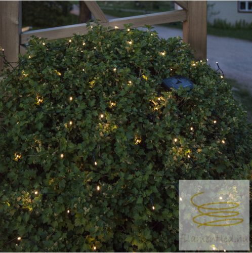 Solar Light Chain Bassis 480-21
