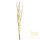 Decorative Twig Willow 584-06