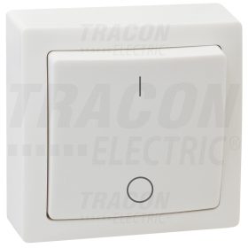   Tracon Falon kívüli kétpólusú kapcsoló 10AX/250VAC, IP20 (102)