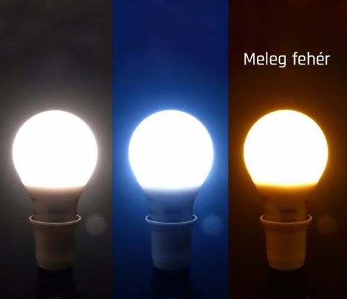 LED GLS  E27 230V 7W=42W WW