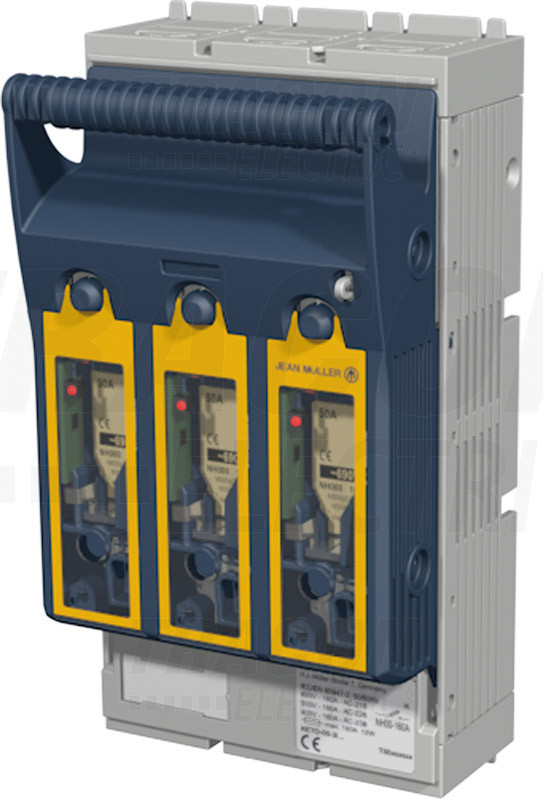 Vízszintes szakaszolókapcsoló-biztosító, szerelőlapra, 3P AC 690V, DC 440V, 400A, 3P, 2 Vízszintes szakaszolókapcsoló-biztosító, szerelőlapra, 3P AC 690V, DC 440V, 400A, 3P, 2